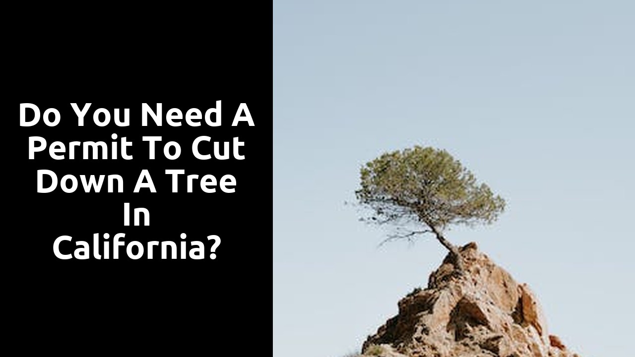 Do you need a permit to cut down a tree in California?