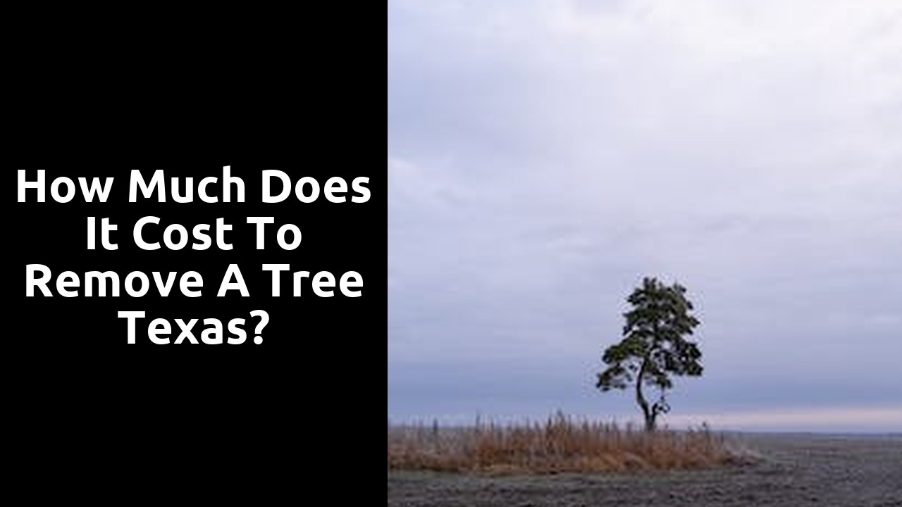 How much does it cost to remove a tree Texas?