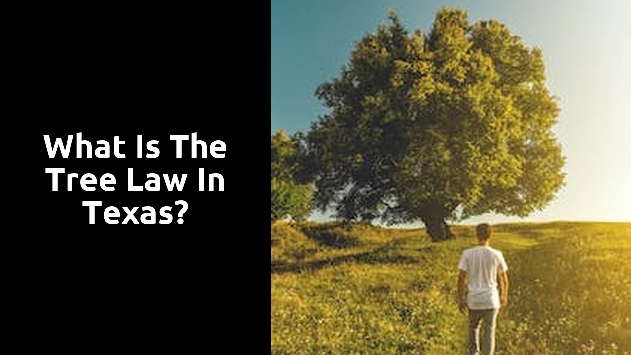 What is the tree law in Texas?